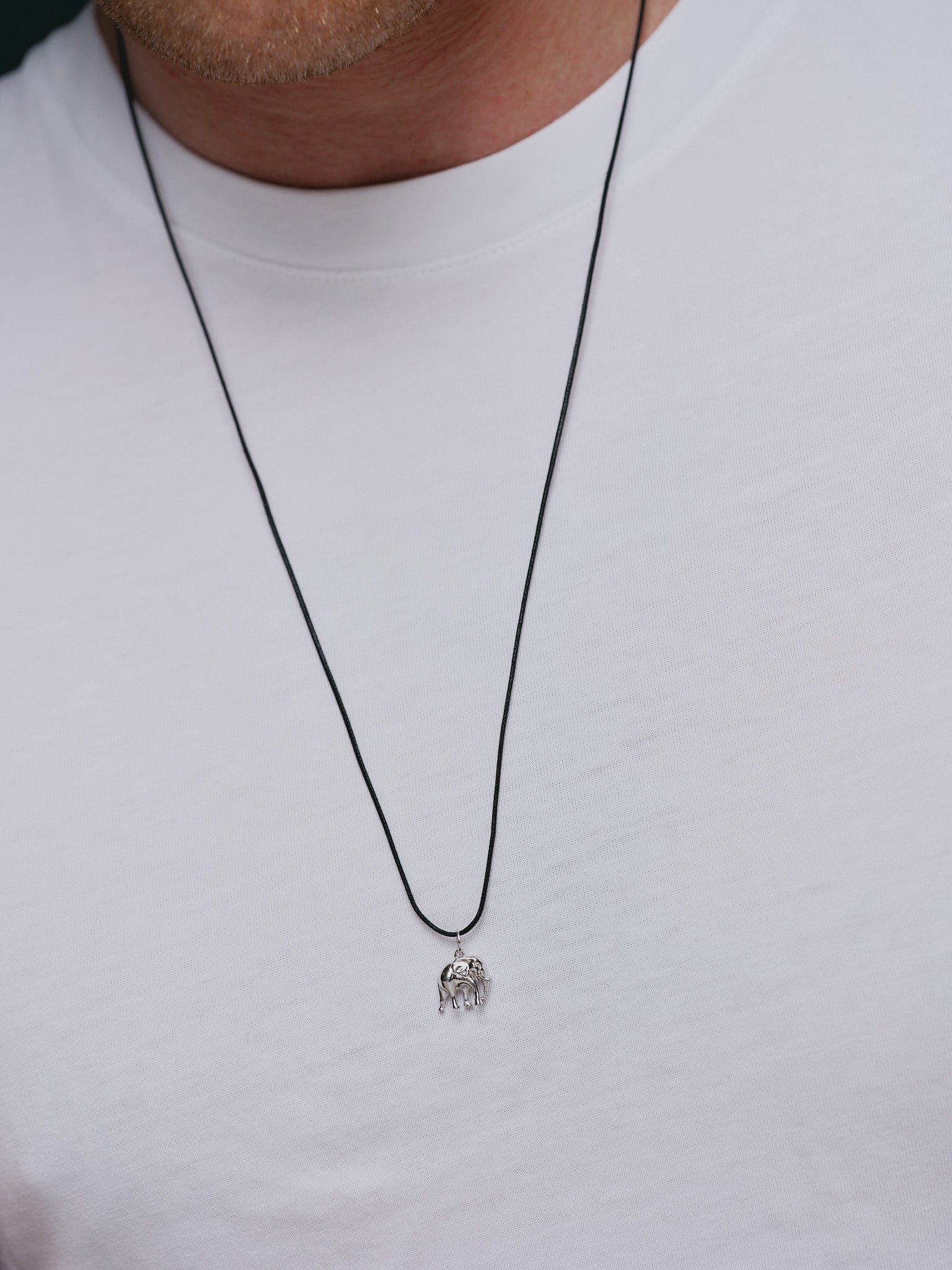 #material_silver